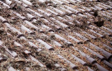 Ranworth roof cleaning companies